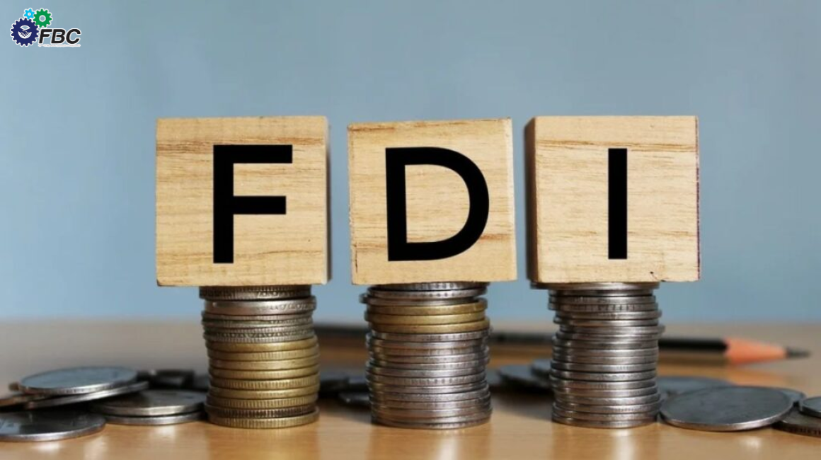 Consider FDI for the private sector in manufacturing
