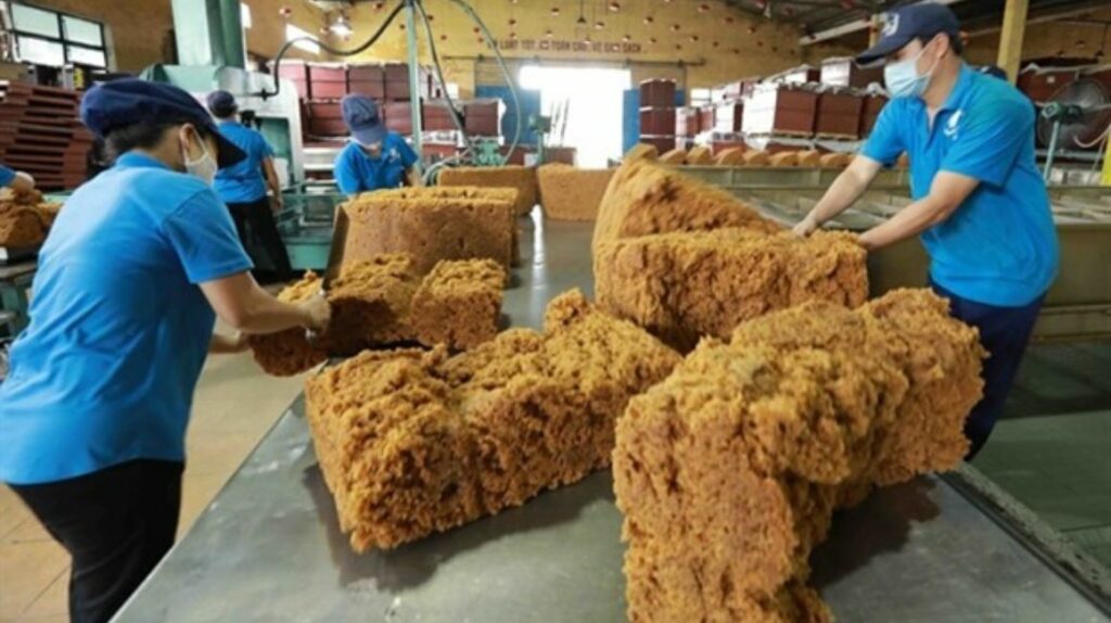 Overview of Vietnam's Rubber Industry