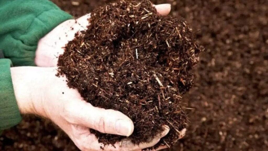 An Phat Holdings develops bio-based materials from rice husks and agricultural waste