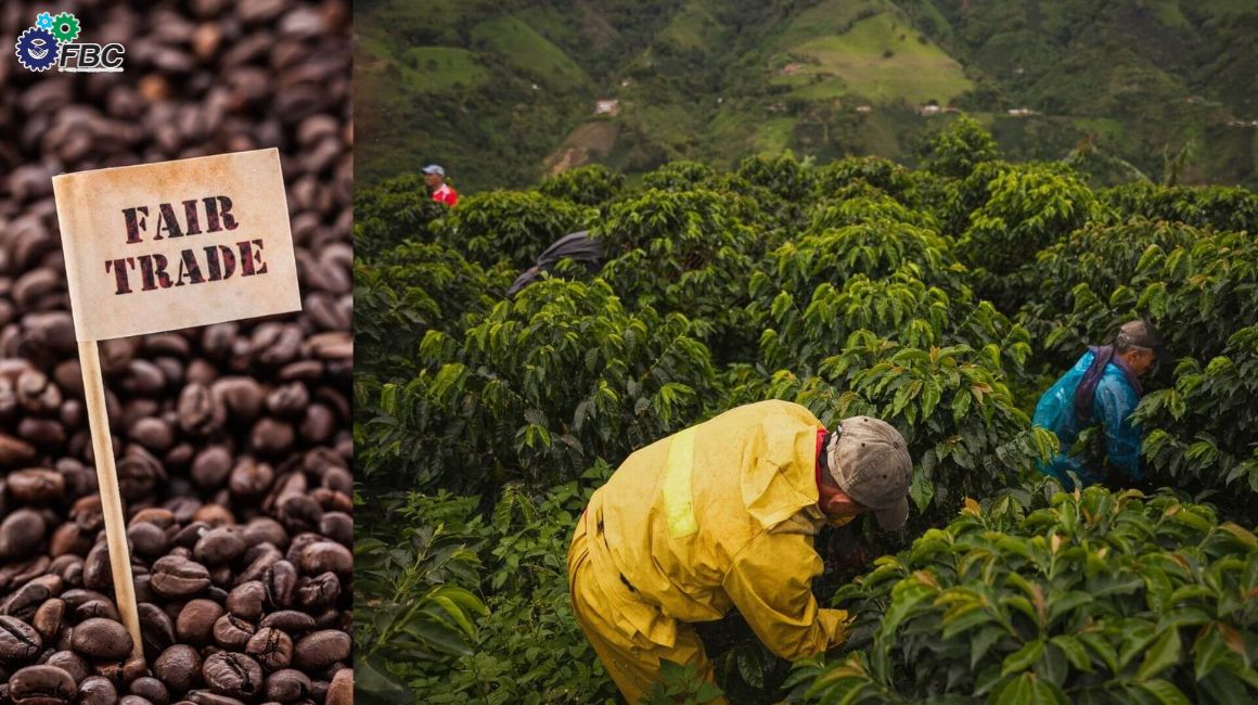 Fair trade ensures equitable pay and social standards for producers in international trade