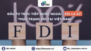 Đầu Tư Trực Tiếp Nước Ngoài - FDI Là Gì? Thực Trạng FDI Tại Việt Nam