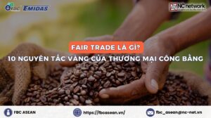 Fair Trade là gì? 10 Nguyên tắc Vàng của Thương mại công bằng